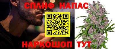 мяу мяу мука Бердск